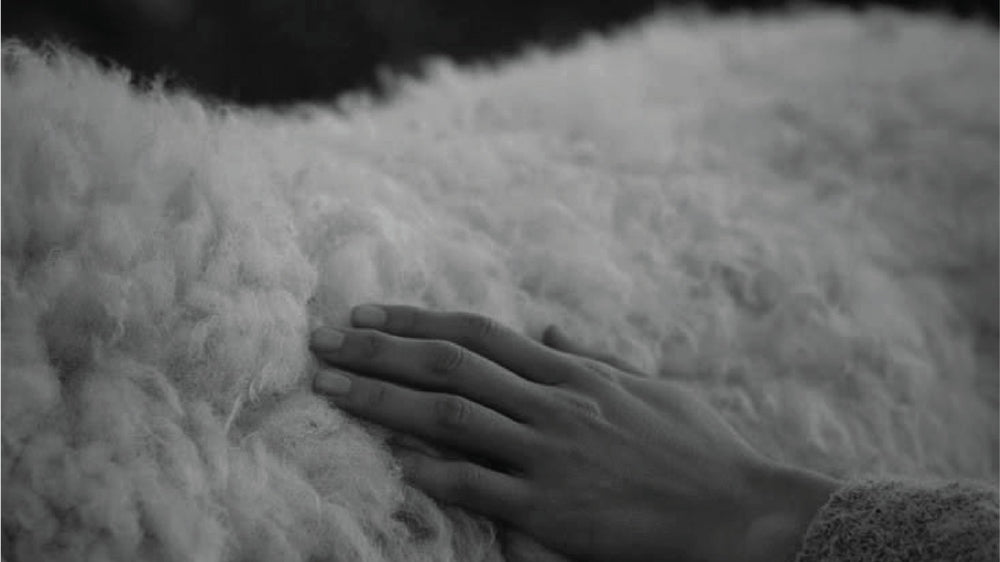 The 70/30 Merino-Cotton Blend