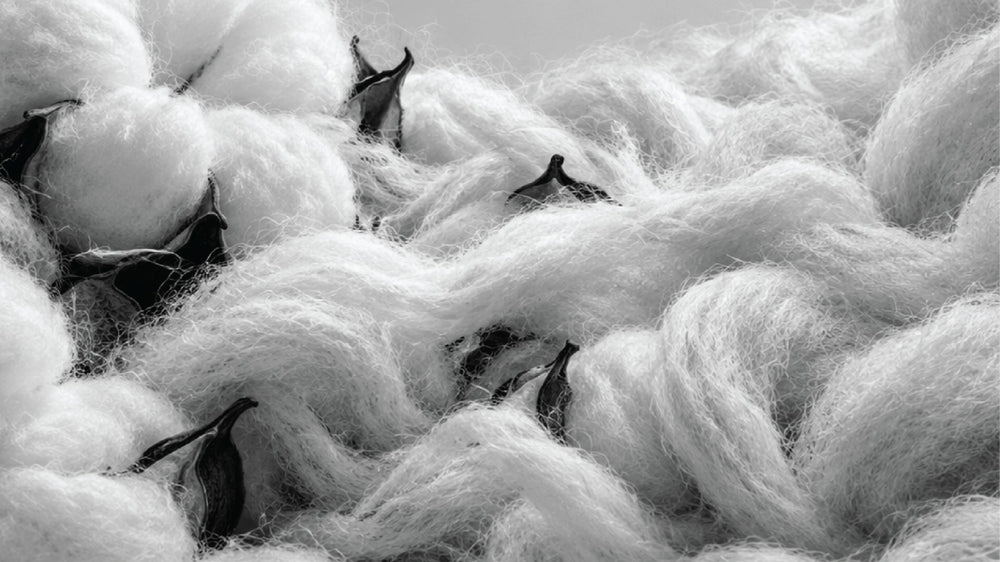 100% Merino Wool